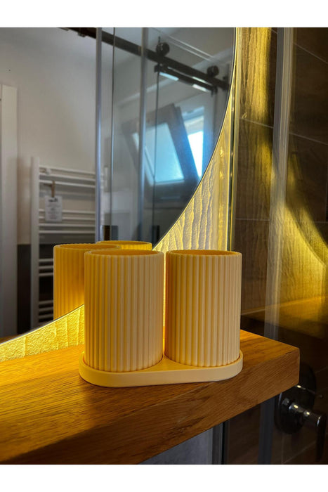 Diş Fırçalığı Seti, düzenleyici